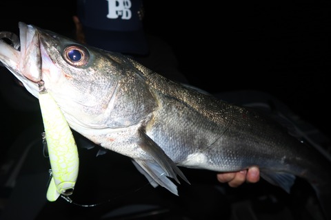 20221106214654_IMG_3036