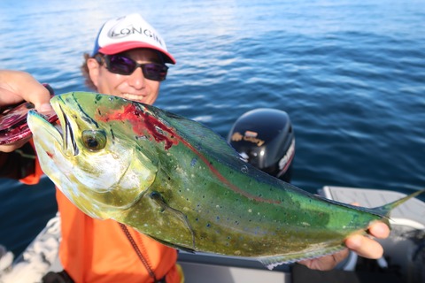 20200827075850_IMG_9985