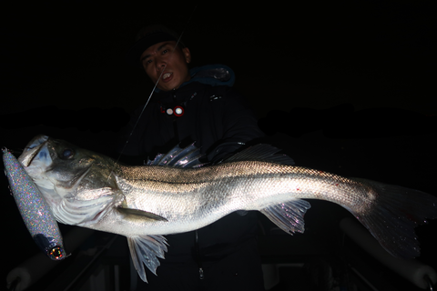 sketch-1668461513324