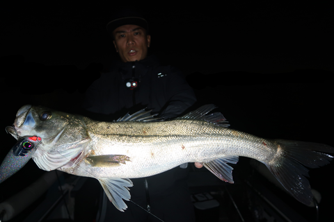 sketch-1667941017577