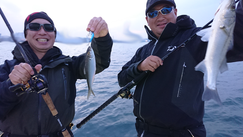 sketch-1544187146142