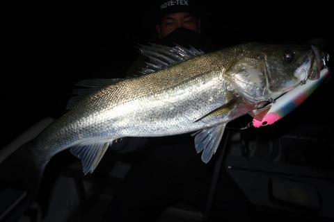 20221221031930_IMG_4244