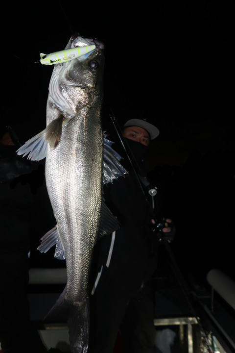 sketch-1639493653703