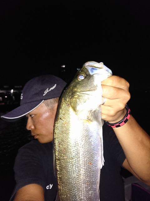 [画像:37f85ecc-s.jpg]