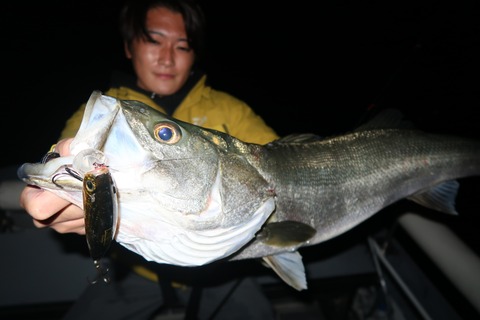 20221101232224_IMG_2925