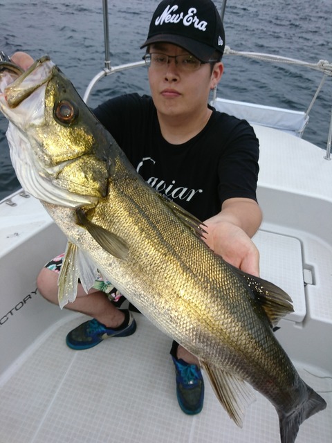 [画像:3884a5e1-s.jpg]