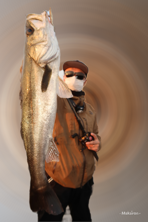 0D79301268B95645967D87C6EDB5AC22