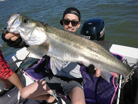 [画像:38c88a85-s.jpg]