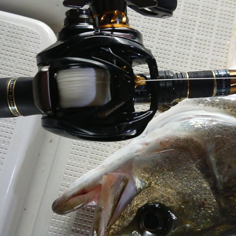 IMG_20181120_230413_523