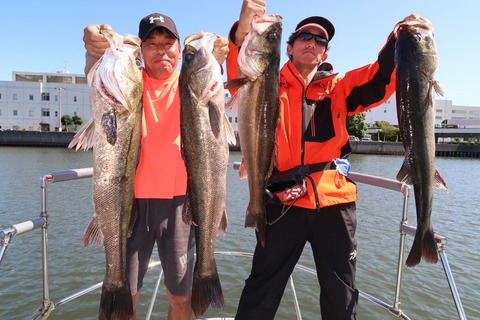 20200928120440_IMG_0288