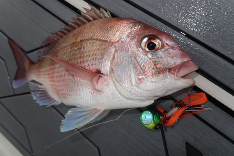 20200420084339_IMG_8488