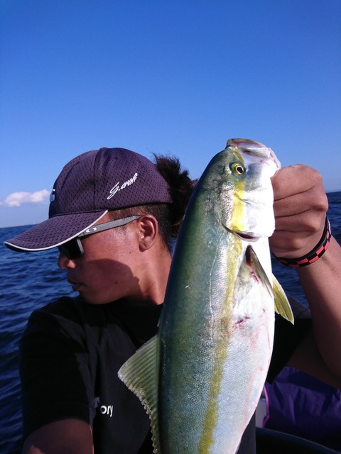 [画像:39d97eb7-s.jpg]