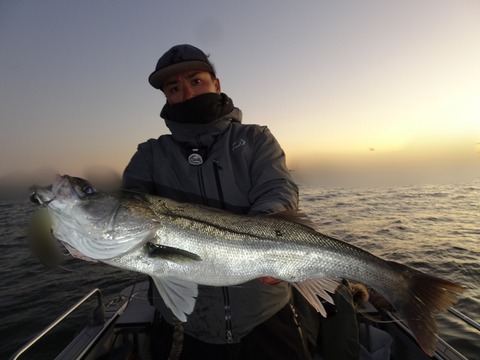 ぼかし丸_20191205_180727