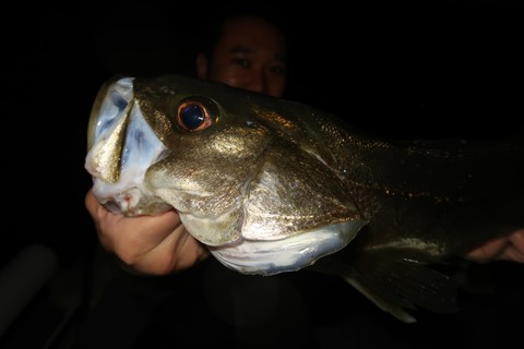 20200926184509_IMG_0231