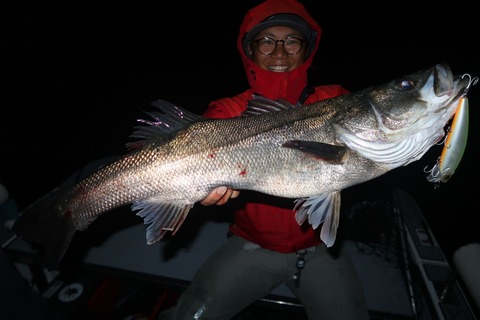 20221118181335_IMG_3371