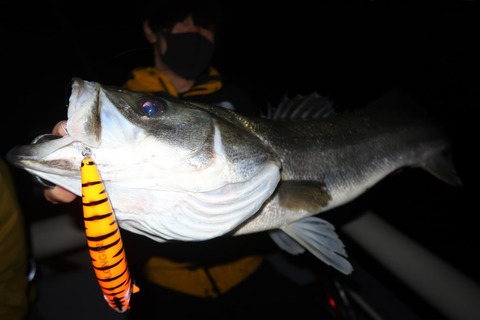 20221102010347_IMG_2946