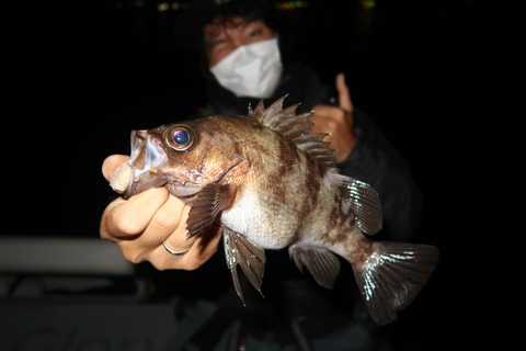 20200429222559_IMG_8611