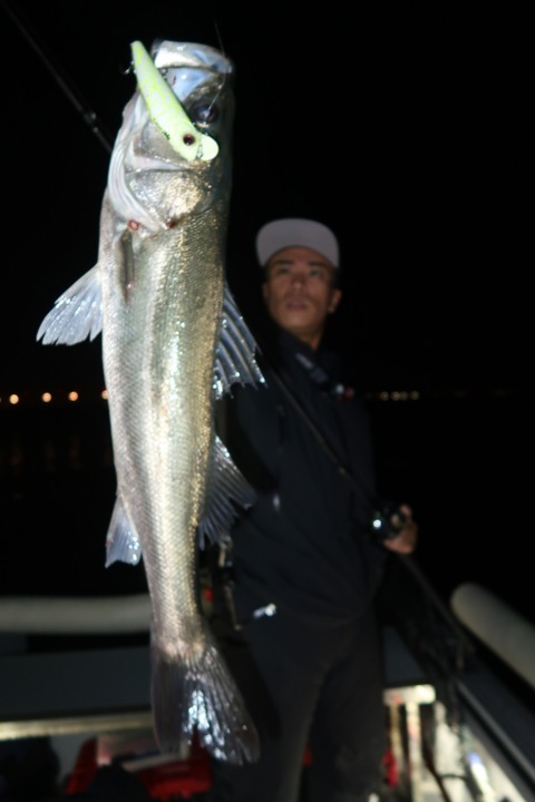 20221021202430_IMG_2613