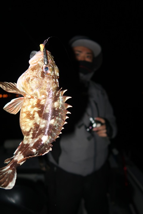 20200204003945_IMG_7341