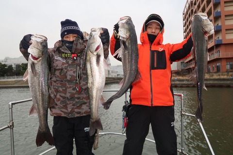 20200127090300_IMG_7326