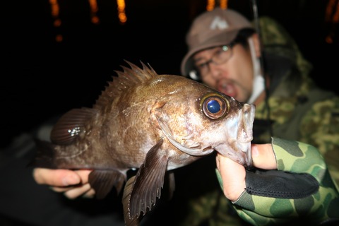 20200430003251_IMG_8628