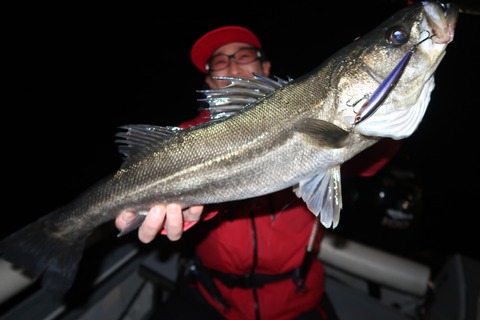 20220224192548_IMG_9795