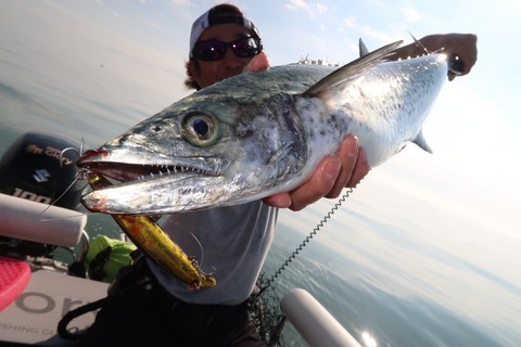 20201013090826_IMG_0539