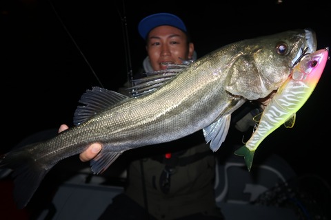 20231028004254_IMG_8241