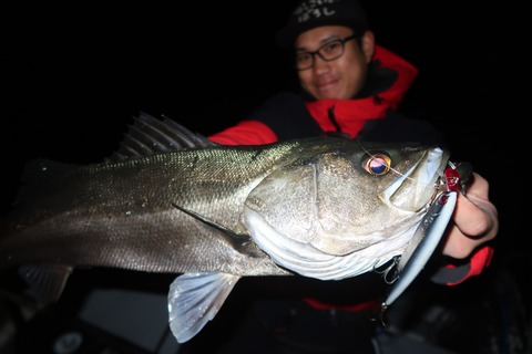 20231228205227_IMG_9436