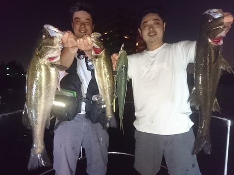 [画像:3d25082b-s.jpg]