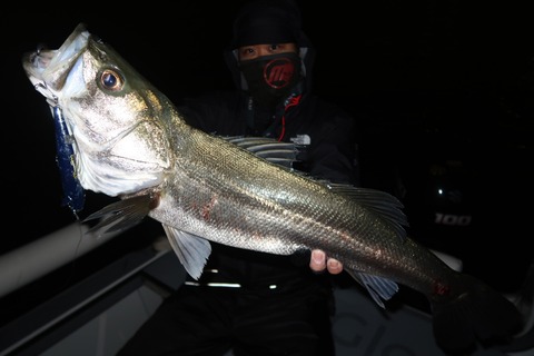 20201007210306_IMG_0466