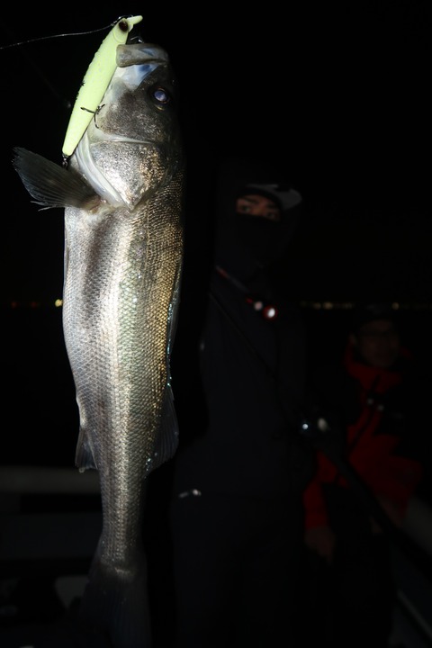 20231228210056_IMG_9439