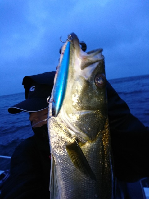 [画像:3e7edfc3-s.jpg]