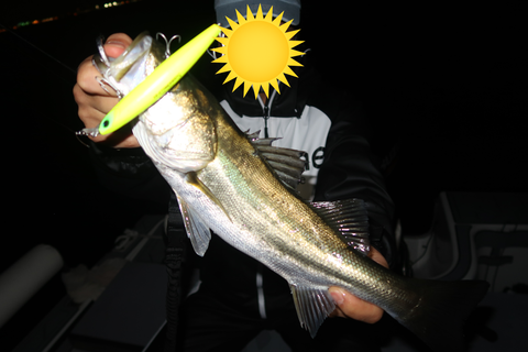 sketch-1600541304068