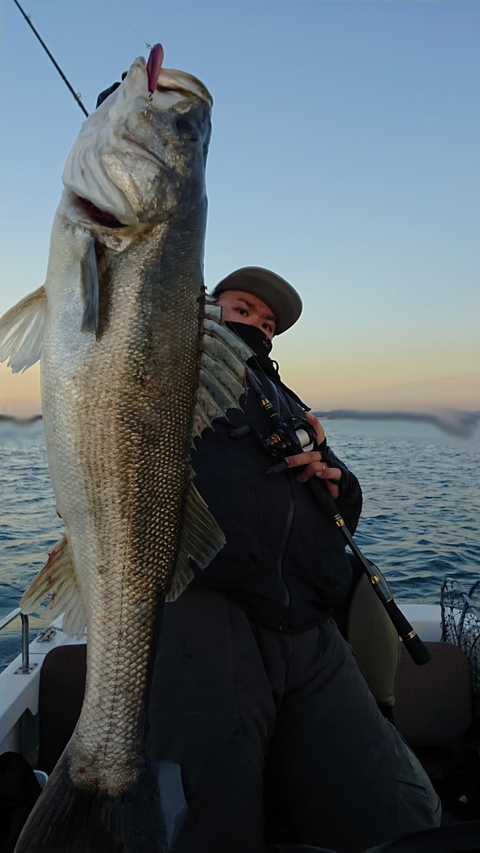 sketch-1547213048604