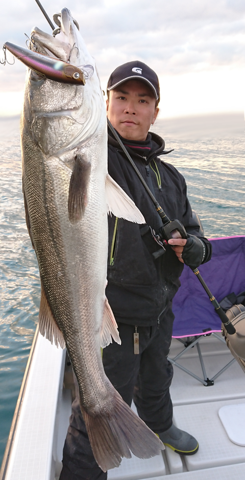 sketch-1513768368387