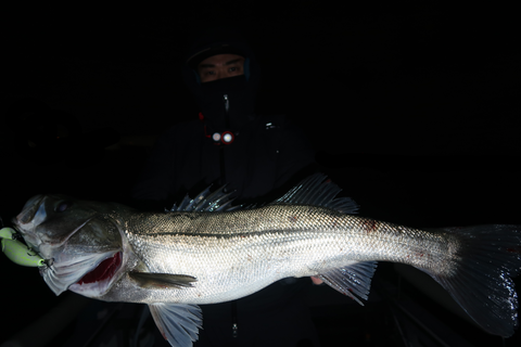 sketch-1671234143606