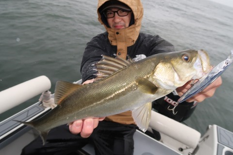 20201010063227_IMG_0475