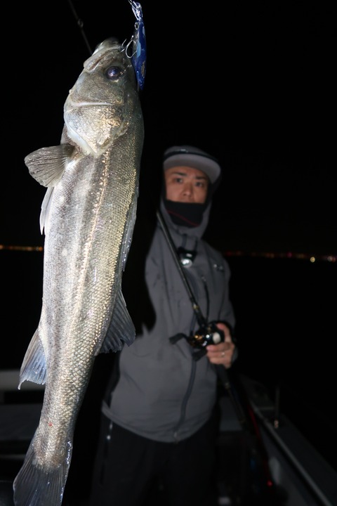 20200320205343_IMG_8015