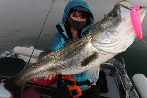 sketch-1602583634210