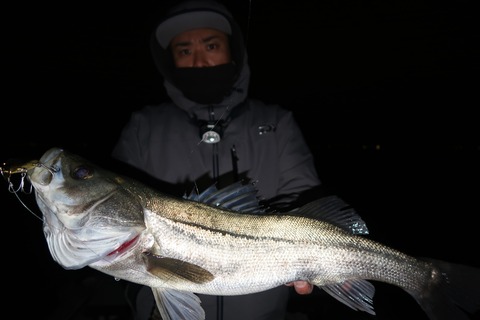 20200127050405_IMG_7319