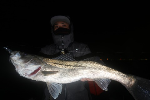 20200307224842_IMG_7899