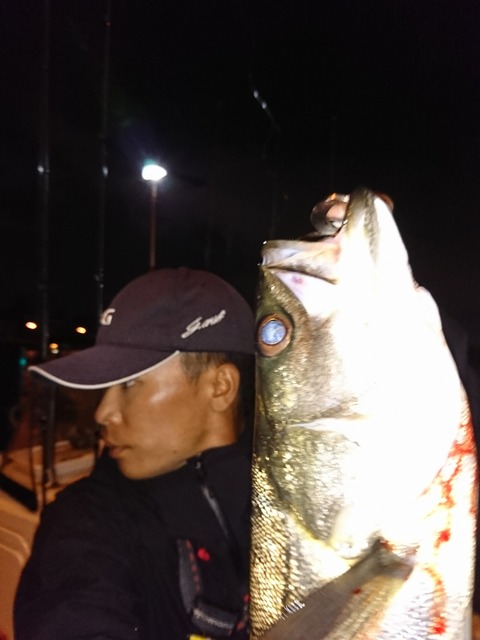 [画像:420b6135-s.jpg]