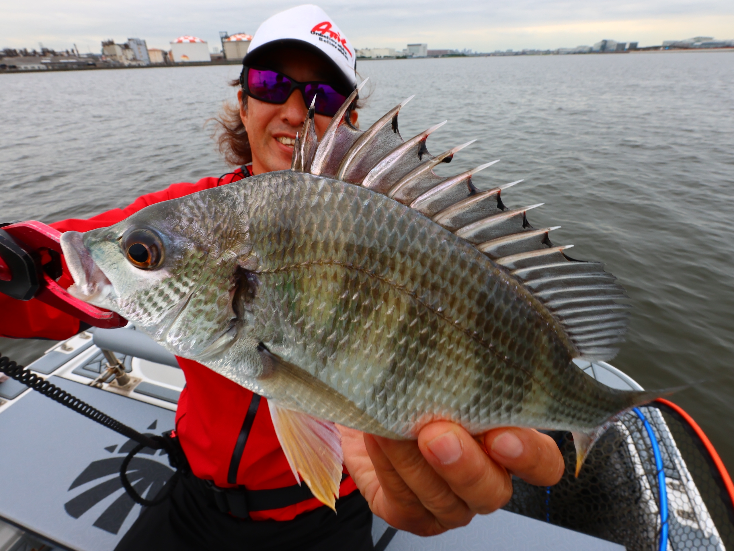 7月7日釣果情報！！ : TOKYOBAY FISHING GUIDE SERVICE Glory