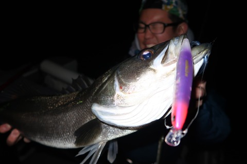 20200213215826_IMG_7487