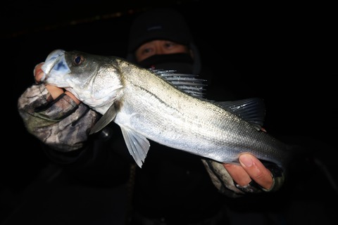 20200314205129_IMG_7968