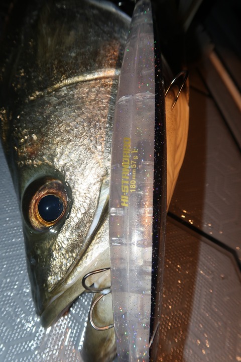 20231123200337_IMG_8678