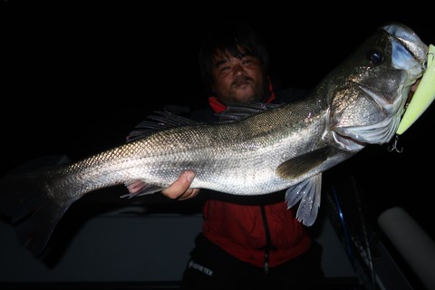 20240404194651_IMG_0828