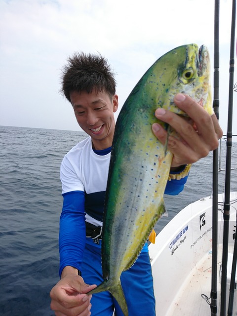 [画像:450f84a5-s.jpg]