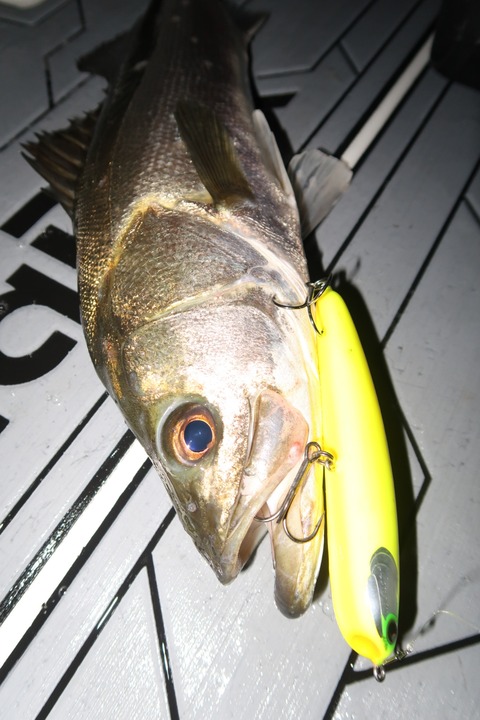 20201003225913_IMG_0371